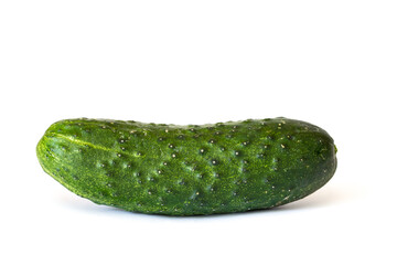 One green cucumber isolated on white background