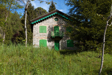Small house hide by plants. Surrounded by nature