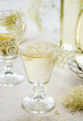 Holunderblüten Limonade 04