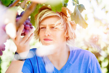 Boy in vineyard