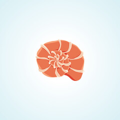 Spiral Shell isolated