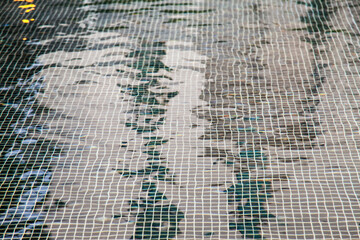 Patterns mosaic tile background in swimming pool.