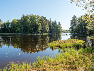 Fototapeta na wymiar Swedish river and natural salmon area in spring