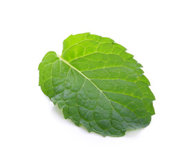 Obraz premium Single mint leaf isolated on white background