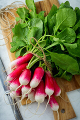 Bunch of fresh raw ripe young radishes with leaves on a light background. Selective focus.