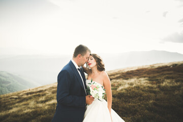 Fototapeta na wymiar Beautifull wedding couple kissing and embracing near mountain with perfect view