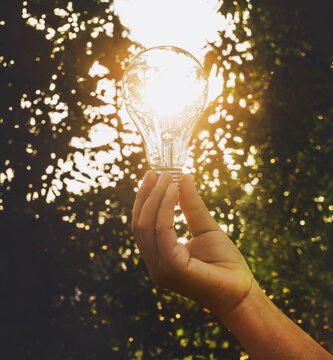Hand person holding light bulb concept idea  of success  solar energy