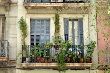 Fototapeta na wymiar Green balconies in Barcelona