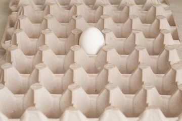 Egg in the lattice, Concept of loneliness and fragility