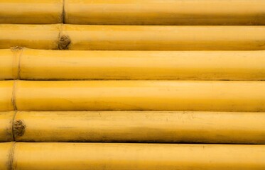 Bamboo background.