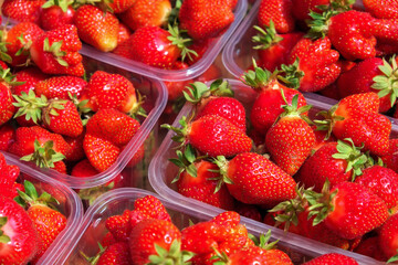 Tasty juicy strawberry berries in boxes, on the market