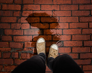 Brick Street in Rain