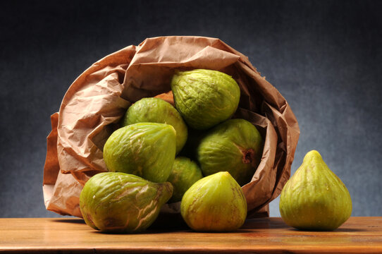 Ficus carica Echte Feige Fico تين شائع Fig Figue Fichi Figs Higuera Figuier Obična smokva Figowiec pospolity Инжир Smochin Fikon 