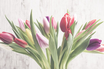 Tulips on the grey background.