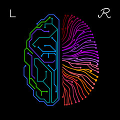 Linke und rechte Hemisphäre im Gehirn