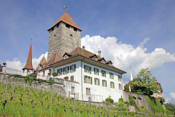 Fototapeta na wymiar Schloss Spiez, Thunersee Schweiz 