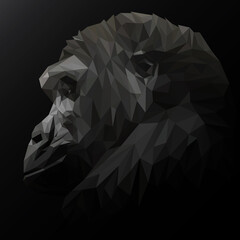 Chimpanzees low poly design. Triangle vector illustration.
