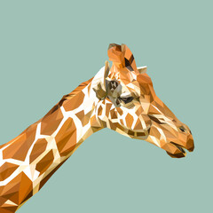 Fototapeta premium Giraffe low poly design. Triangle vector illustration.