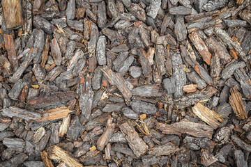 Natural background. The texture of firewood, pieces of wood and bark, on the whole frame. Horizontal frame