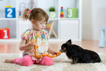 child feeding a puppy