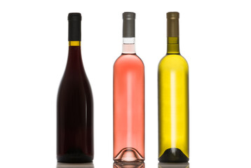 Obraz na płótnie Canvas Wine bottles
