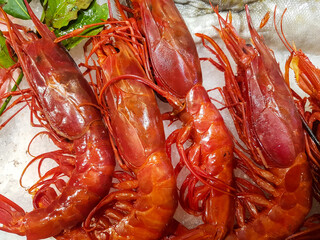Red shrimps on ice