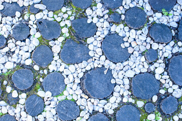 rock walk way and stump in beautiful garden natural background