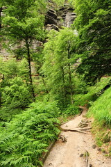 Naklejka premium The landscape of Bohemian Switzerland