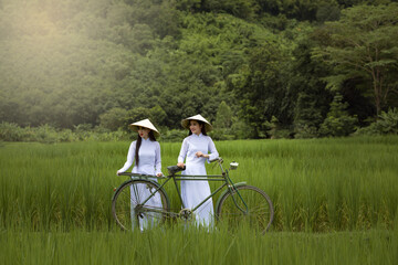 Asia beautiful women in Ao Dai Vietnam traditional dress and bicycle in green rice field this is the best culture of Vietnam.