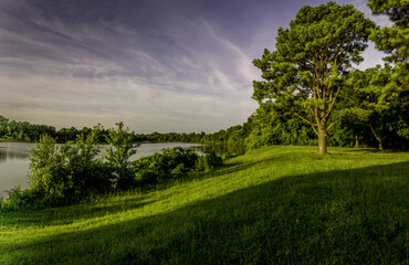 Sunrise on Clear Creek, a tributary of the Arkansas River, lit by golden light on dense trees, grass and shrubs