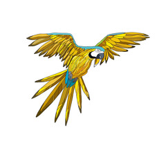 Vector illustration. A flying parrot with yellow and turquoise wings