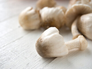 Straw mushroom.