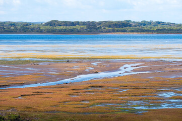 Water channel intersects tidal flats