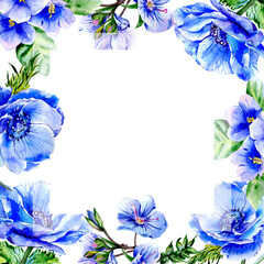 Wildflower anemone flower frame in a watercolor style isolated.