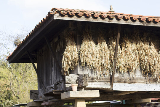 Horreo