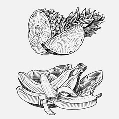 set of hand drawn, engraved fresh fruits, vegetarian food, plants, vintage looking bananas and pineapple.