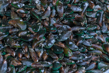 fresh Mussel seafood from ocean for cooking in restaurant sale in seafood market at thailand.