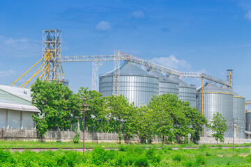 silo structure for storing bulk dried seed factory for keep inventory. agricultur industry.