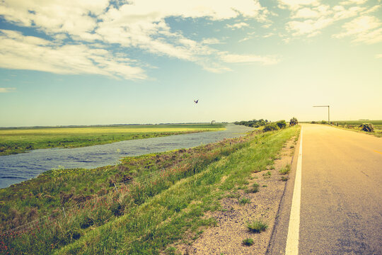 Road going through the Taim ecological station. Rio Grande do Sul, Brazil.