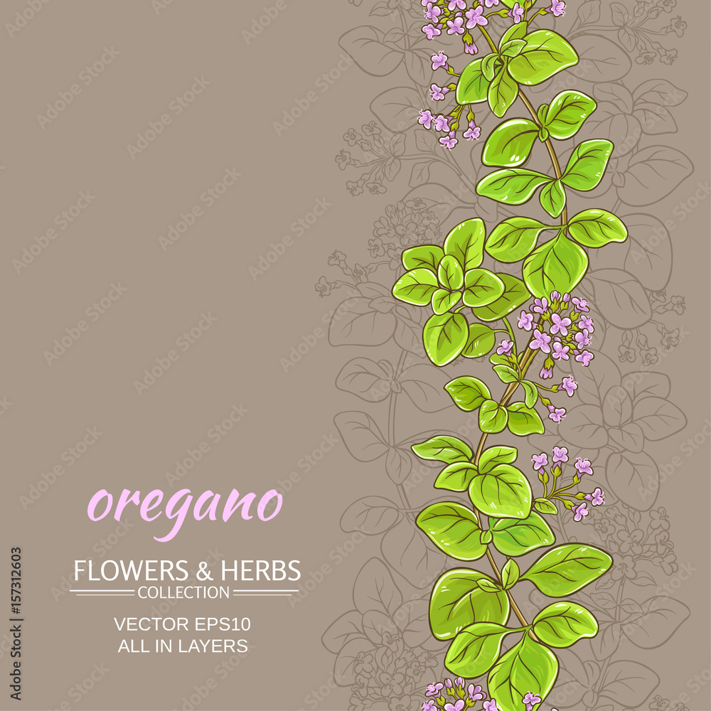 Sticker oregano vector background