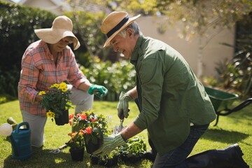 Happy senior couple holding plants in yard