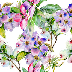 Wildflower dogwood flower pattern in a watercolor style isolated.