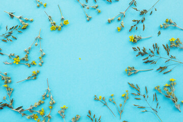 A floral pattern of white wildflowers, green leaves, branches on a blue background, space for text in the center. Apartment, top view. Flower pattern. A flower pattern. Flower texture