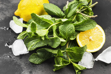 Ingredients for lemonade - lemon, ice, mint on a dark background