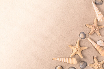 Fototapeta na wymiar seashells and starfish on a sand background with copy space. Seastar shellfish on sandy beach.