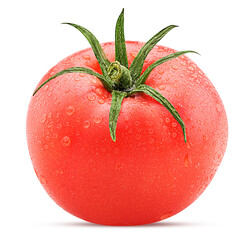 Fresh red tomato with green leaves with water drops