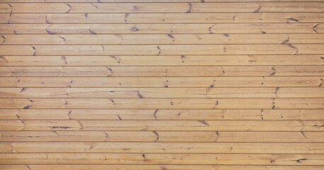Oak Wood wall background or texture