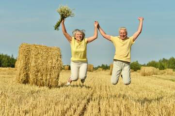 Fototapeta na wymiar Senior couple on mowed field of wheat 