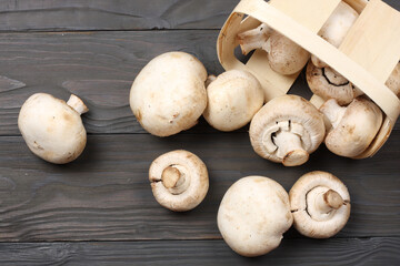 mushrooms on dark wooden background. top view with copy space