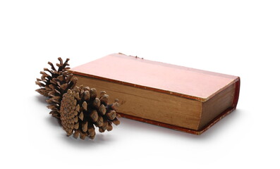 Old red cover book and pine cones isolated on white background 